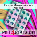 Капсула Муравья Африки Черная dapoxetine2